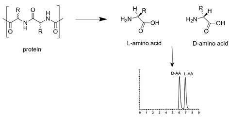 chiral hplc separation of amino acids